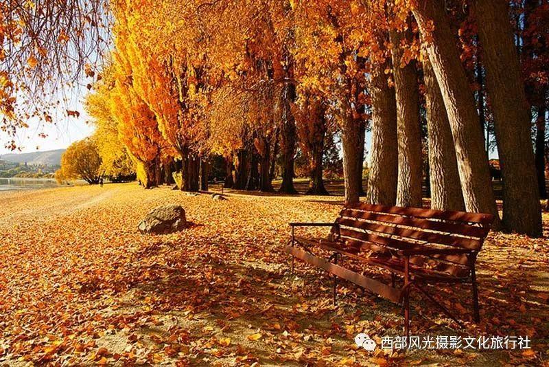 在助推龙江振兴发展实践中，黑龙江省政协交出高质量履职答卷！